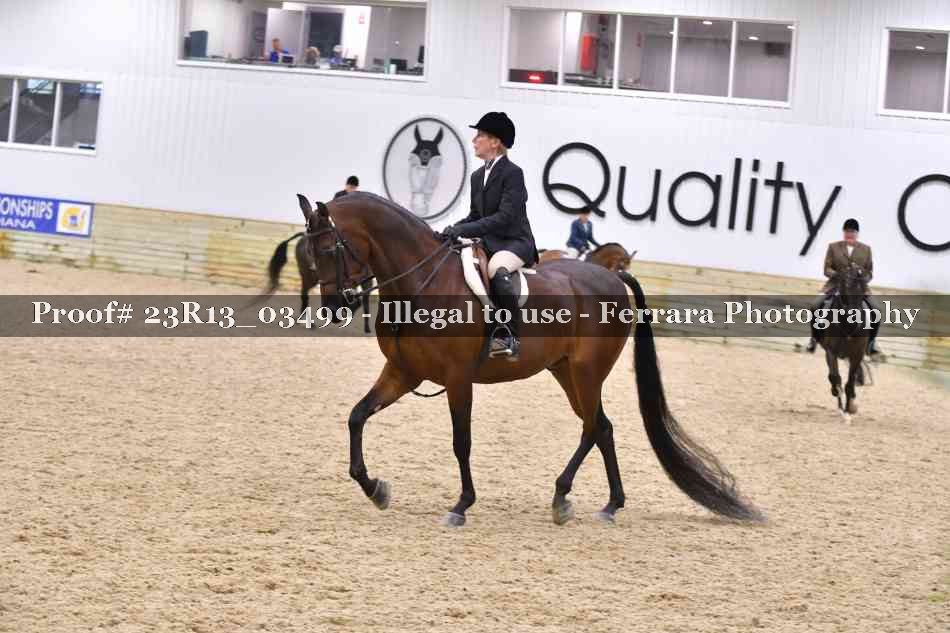 Proof Number 23R13_03499