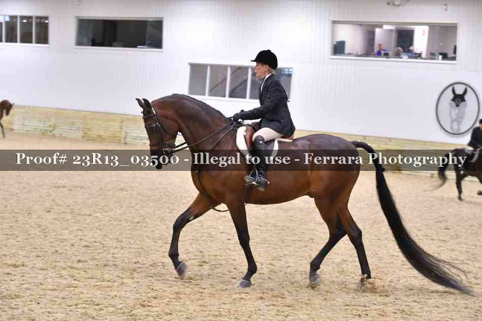 Proof Number 23R13_03500