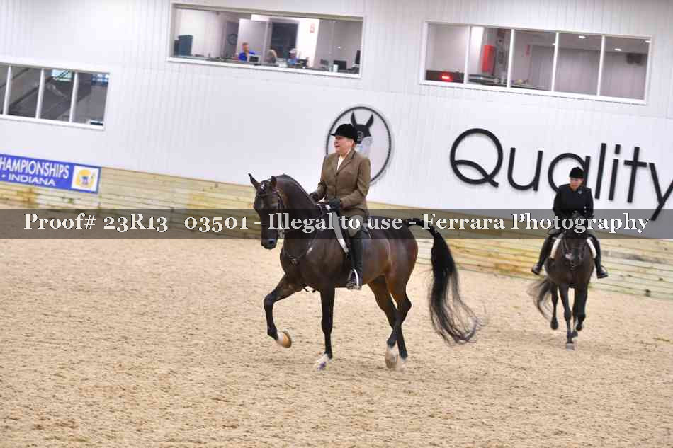 Proof Number 23R13_03501