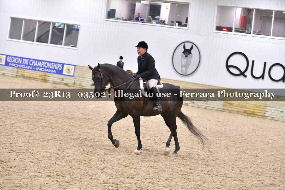 Proof Number 23R13_03502