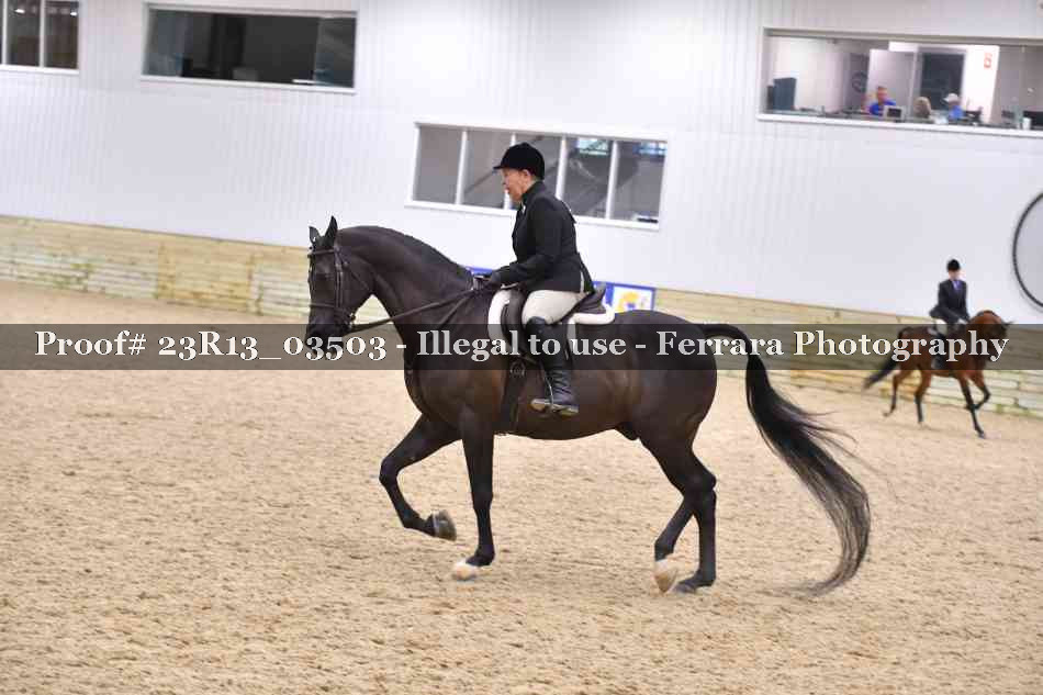 Proof Number 23R13_03503