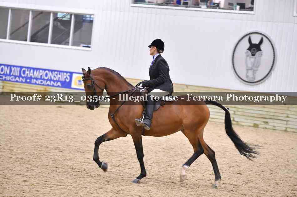 Proof Number 23R13_03505