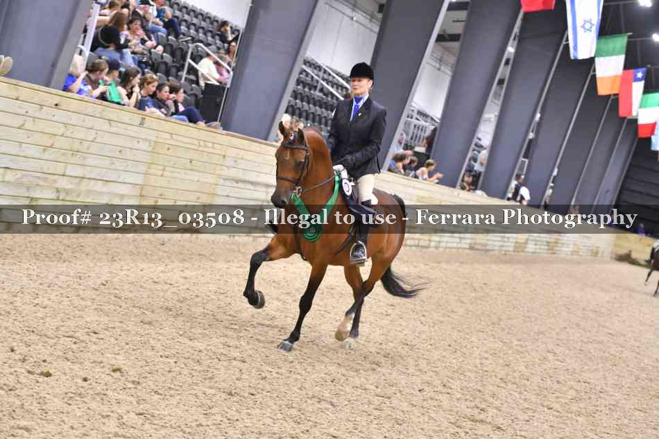 Proof Number 23R13_03508