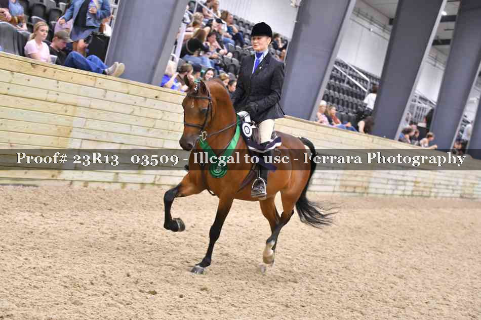 Proof Number 23R13_03509