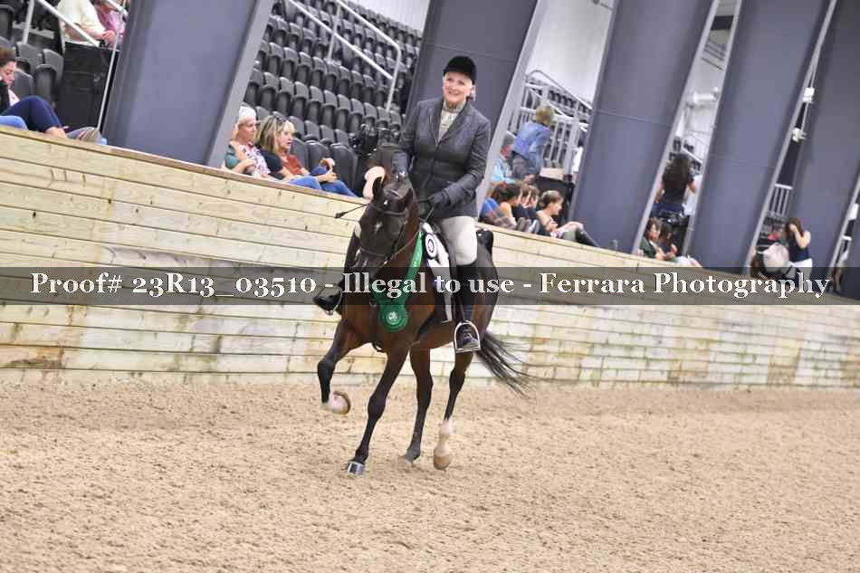 Proof Number 23R13_03510