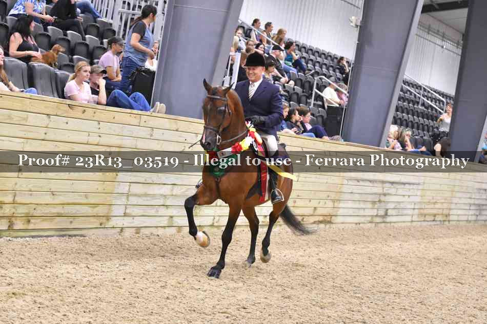 Proof Number 23R13_03519