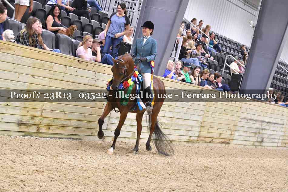 Proof Number 23R13_03522