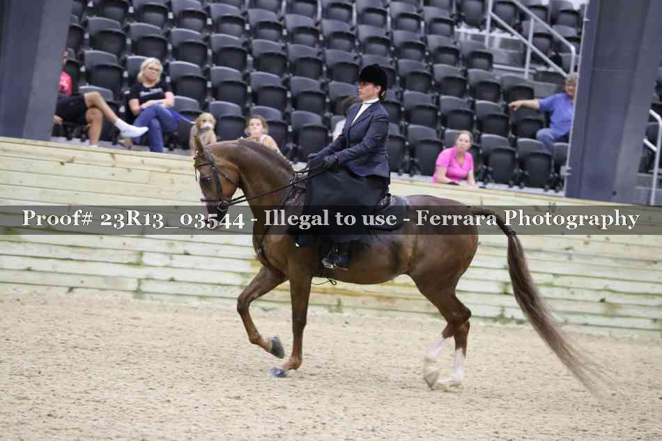 Proof Number 23R13_03544