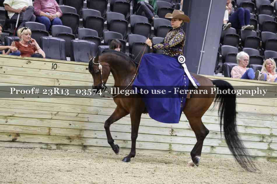 Proof Number 23R13_03574