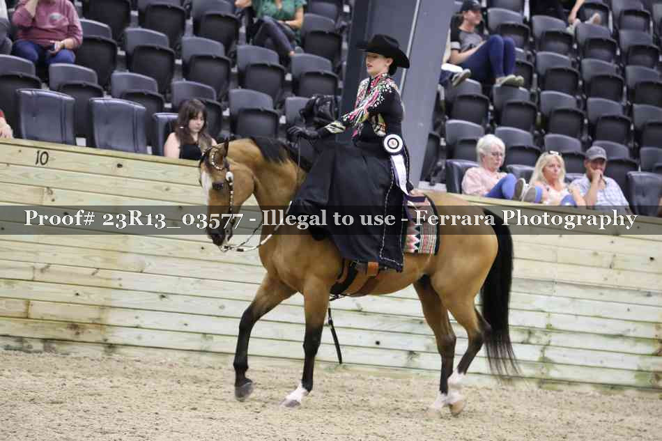 Proof Number 23R13_03577