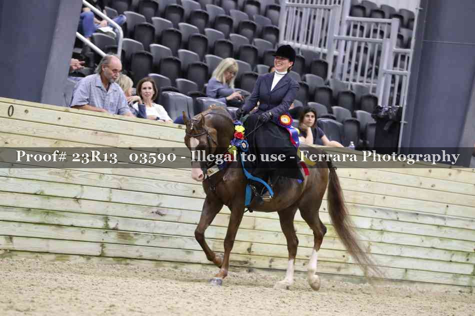 Proof Number 23R13_03590