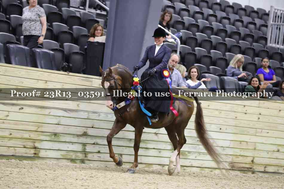 Proof Number 23R13_03591