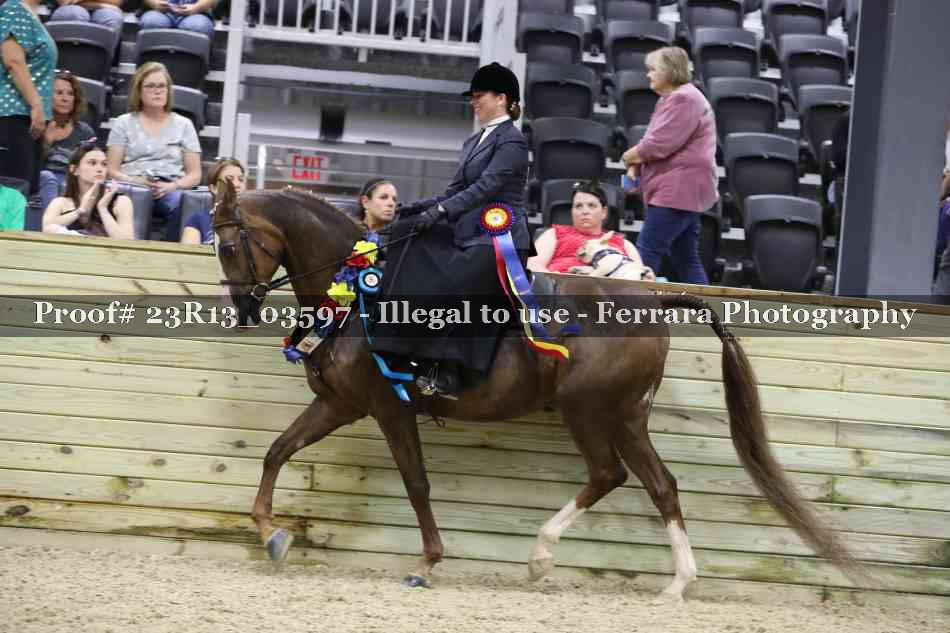 Proof Number 23R13_03597