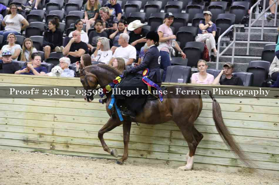Proof Number 23R13_03598