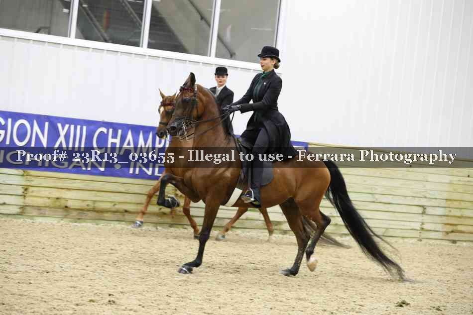 Proof Number 23R13_03655