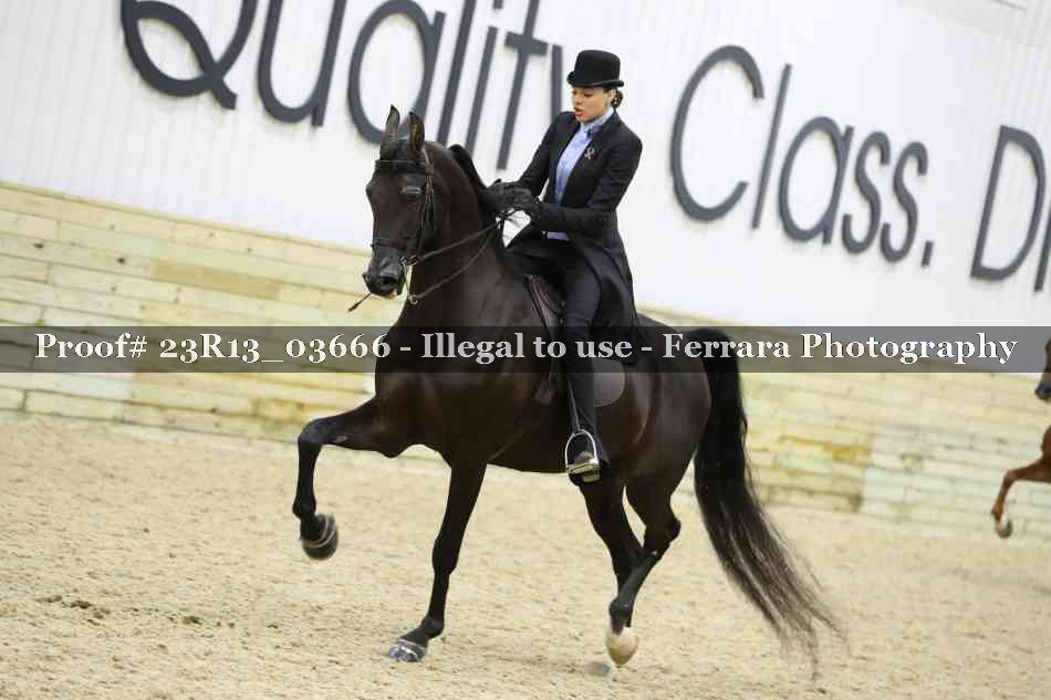 Proof Number 23R13_03666