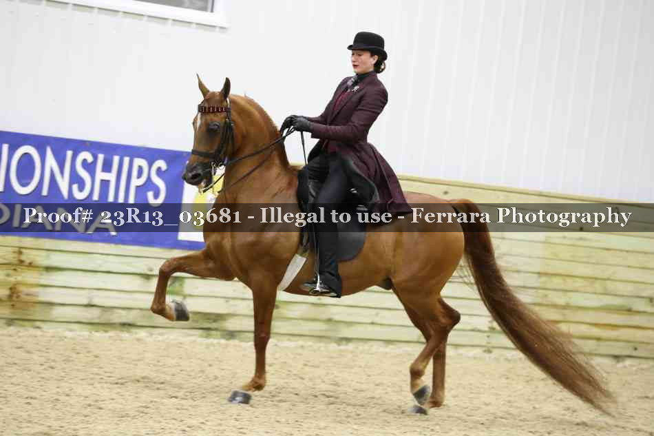 Proof Number 23R13_03681