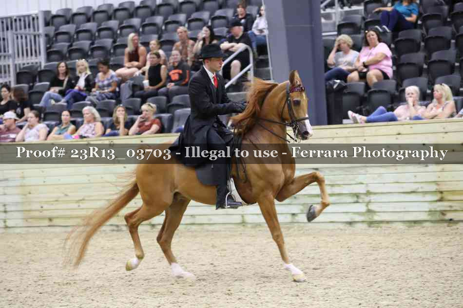 Proof Number 23R13_03703