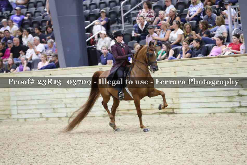 Proof Number 23R13_03709