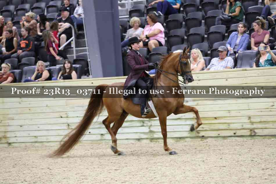 Proof Number 23R13_03711