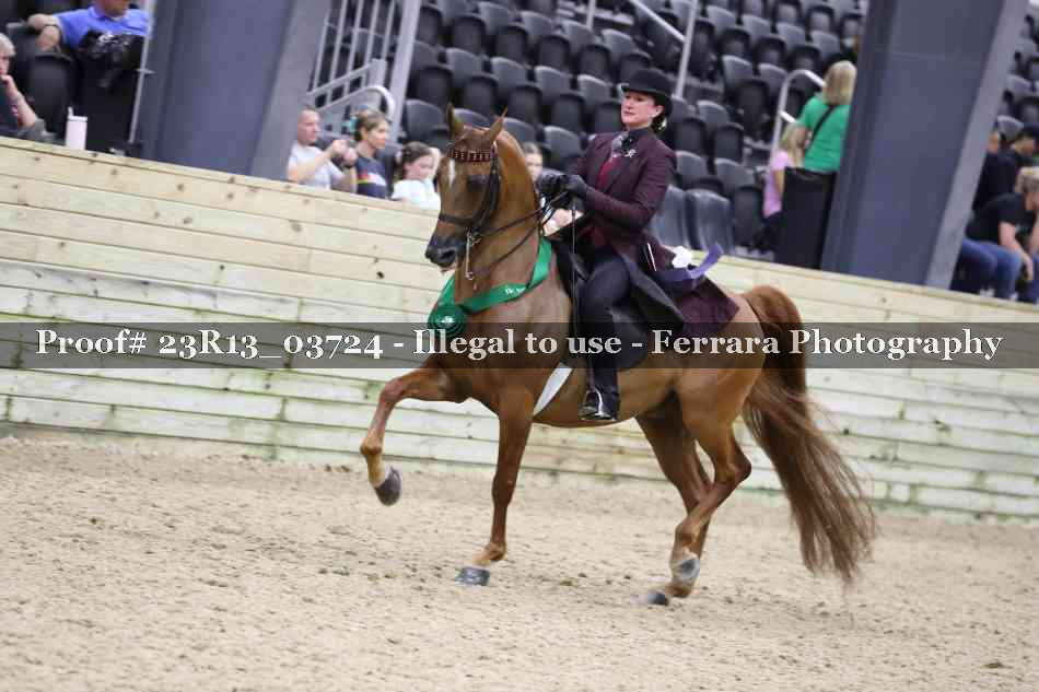 Proof Number 23R13_03724