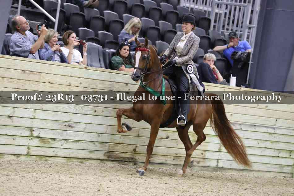 Proof Number 23R13_03731