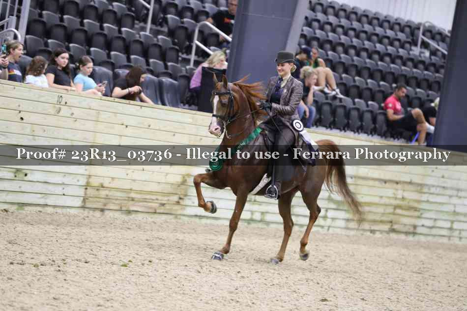 Proof Number 23R13_03736