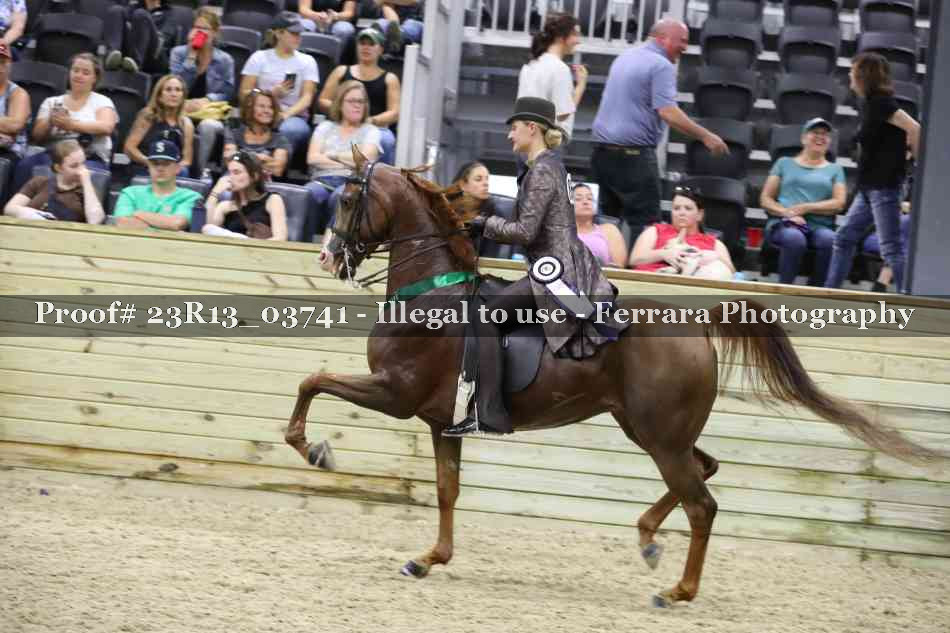 Proof Number 23R13_03741
