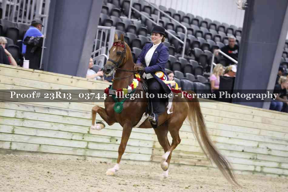 Proof Number 23R13_03744