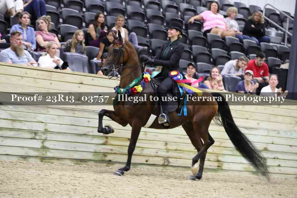 Proof Number 23R13_03757
