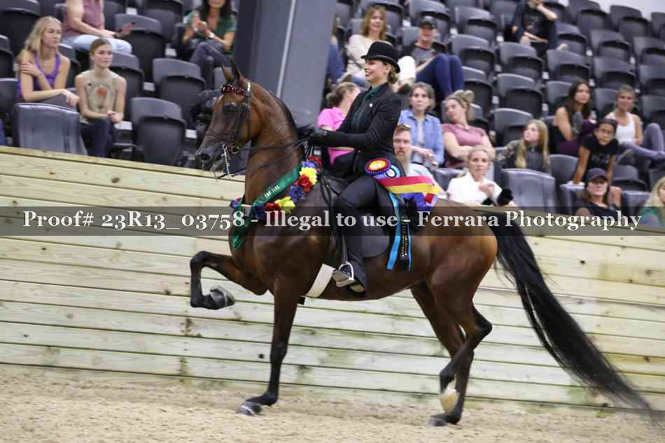 Proof Number 23R13_03758