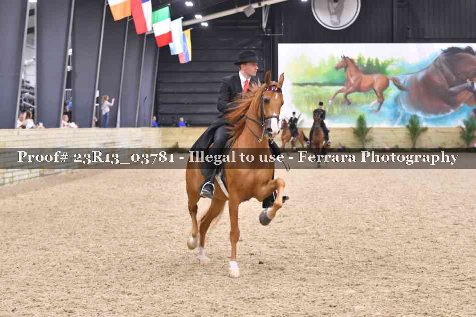 Proof Number 23R13_03781