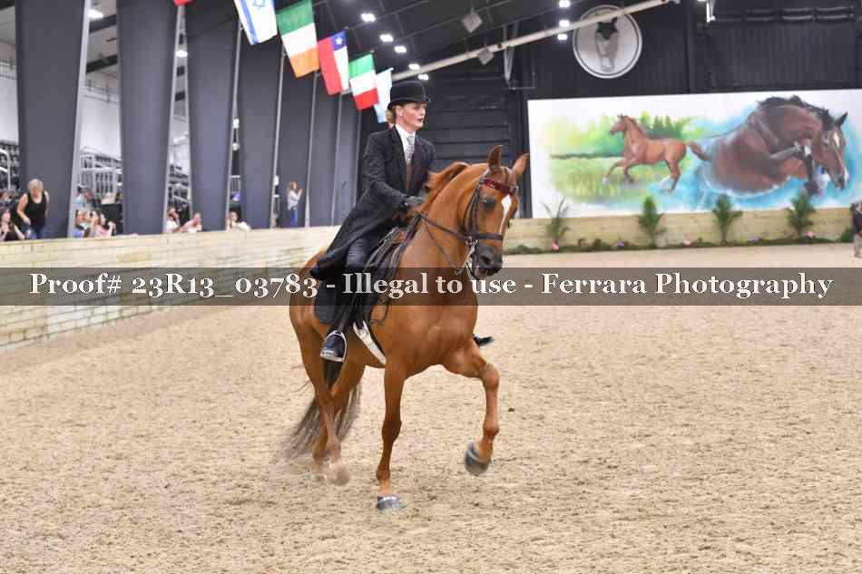 Proof Number 23R13_03783