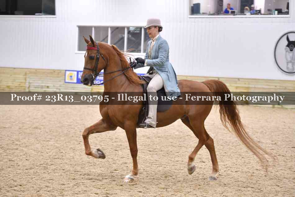 Proof Number 23R13_03795