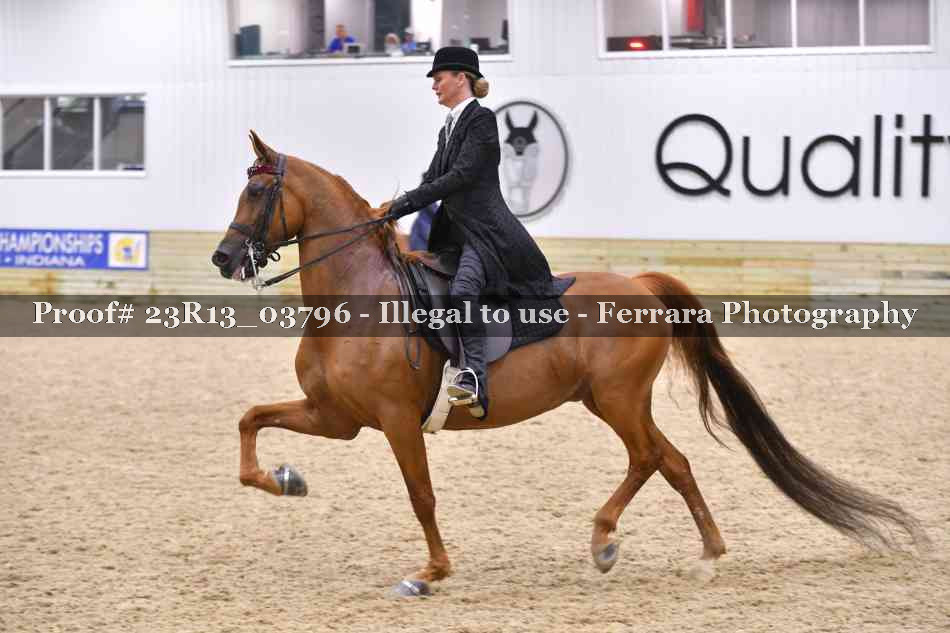 Proof Number 23R13_03796