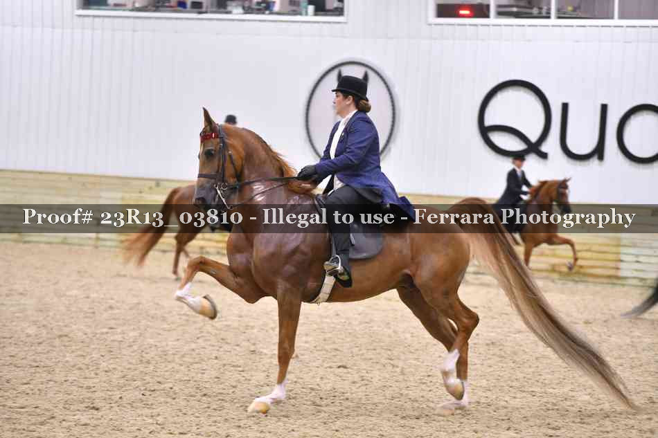 Proof Number 23R13_03810
