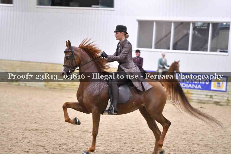 Proof Number 23R13_03816