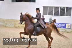 23R13_03816 thumbnail