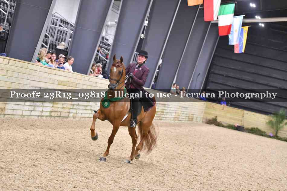 Proof Number 23R13_03818