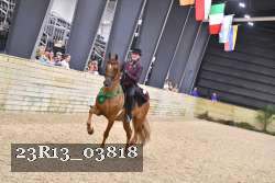 23R13_03818 thumbnail
