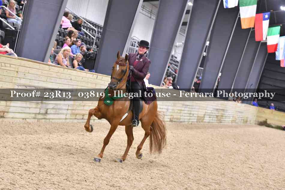 Proof Number 23R13_03819