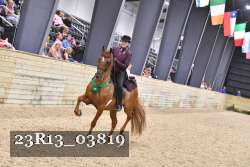 23R13_03819 thumbnail