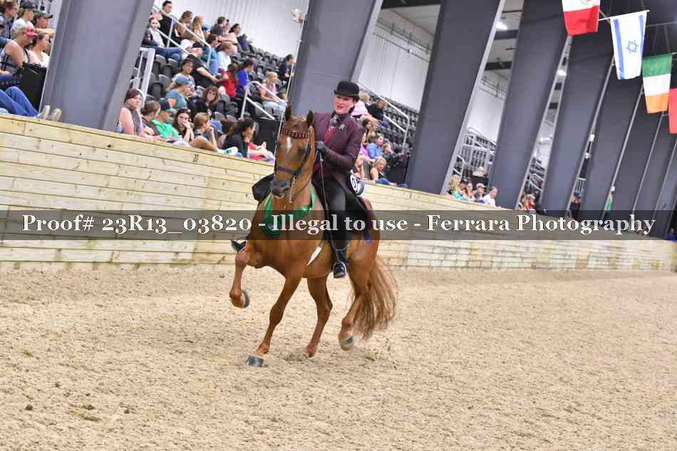 Proof Number 23R13_03820