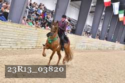 23R13_03820 thumbnail