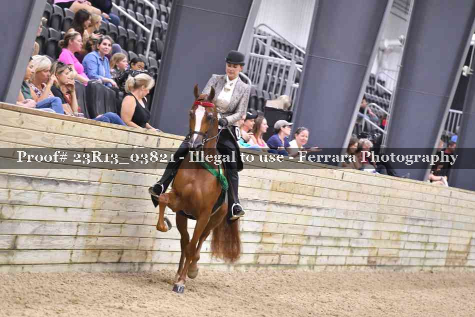 Proof Number 23R13_03821
