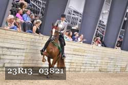 23R13_03821 thumbnail