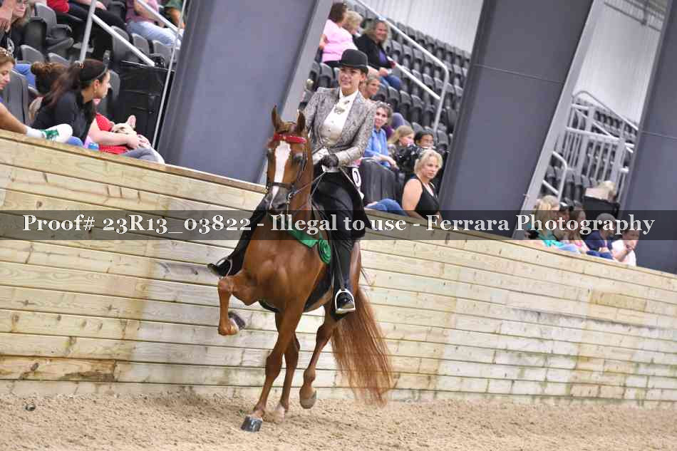 Proof Number 23R13_03822