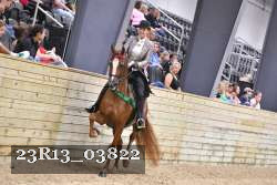 23R13_03822 thumbnail