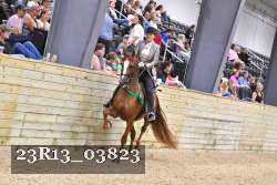 23R13_03823 thumbnail