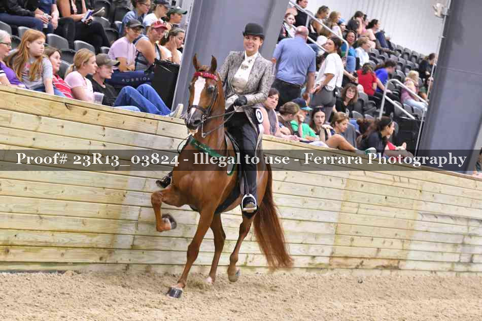 Proof Number 23R13_03824